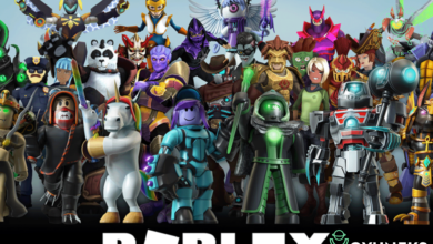 Roblox Yüz Tanıma Sistemi Nedir