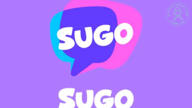 Sugo