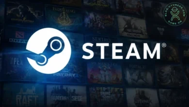 Türkiye Steam Fiyatları Neden Yükseliyor Bölgesel Fiyatlandırma Açıklaması