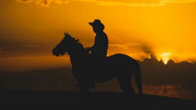 Red Dead Redemption 2 temalı gün batımında at üstünde kovboy silueti