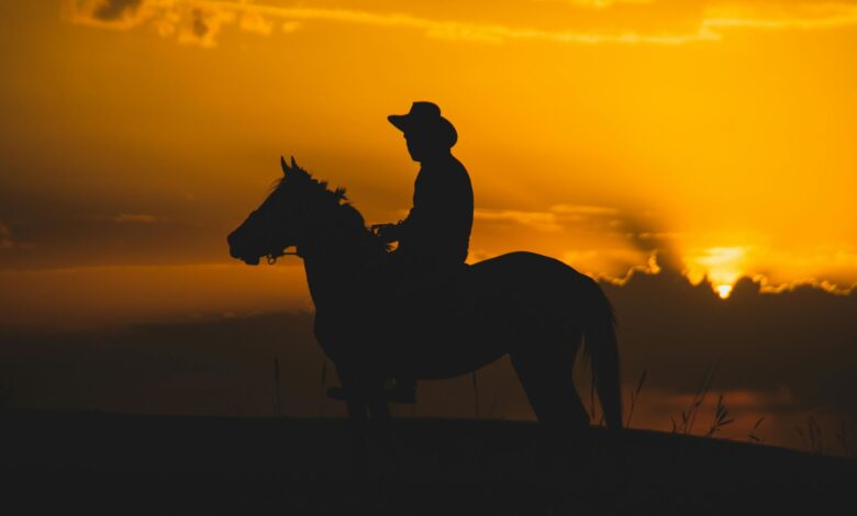 Red Dead Redemption 2 temalı gün batımında at üstünde kovboy silueti