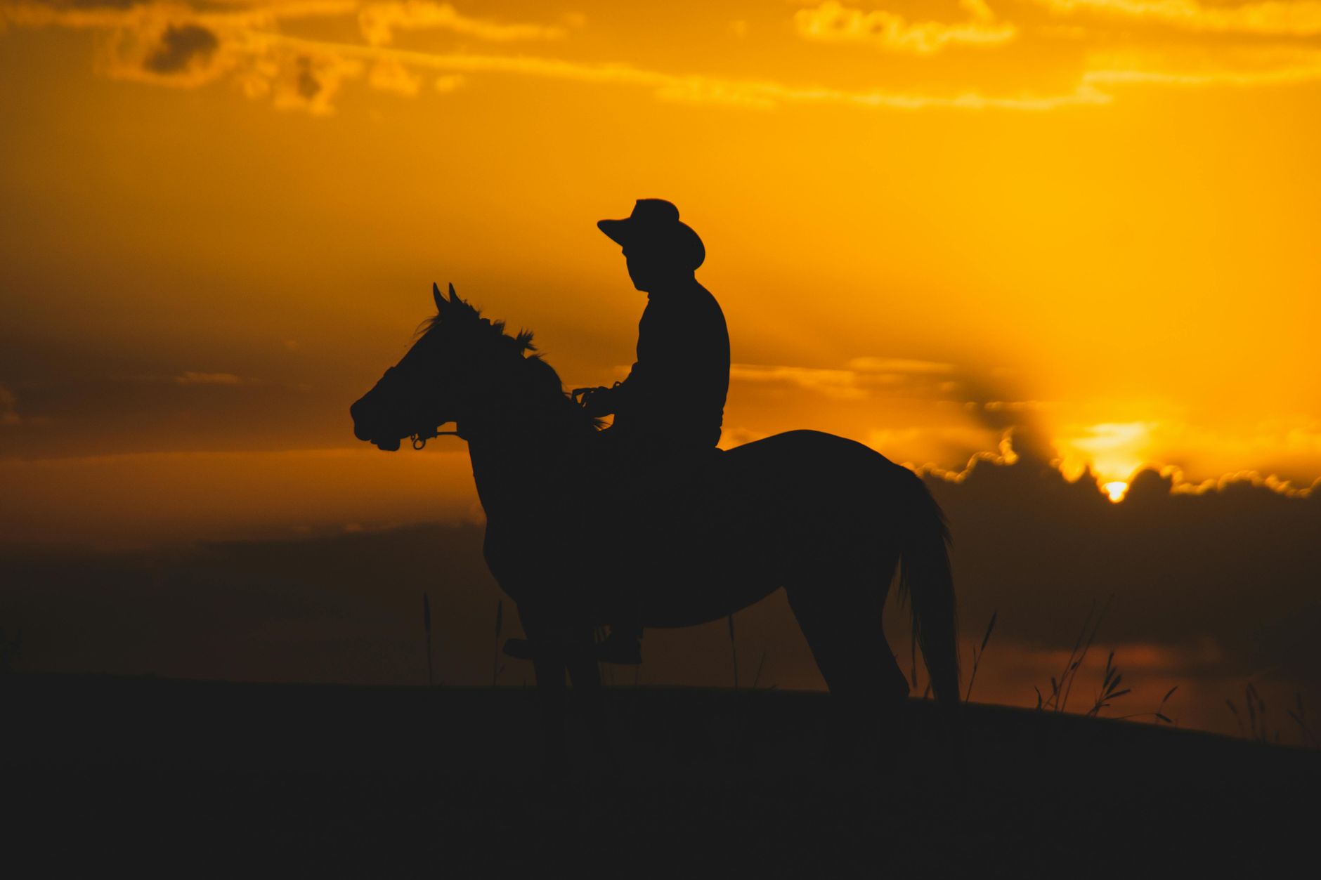 Red Dead Redemption 2 temalı gün batımında at üstünde kovboy silueti