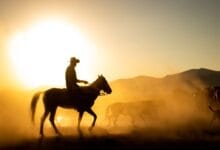 RDR2 Türkçe Yama: Oyunda Türkçe Var mı, Yama Nasıl Kurulur?