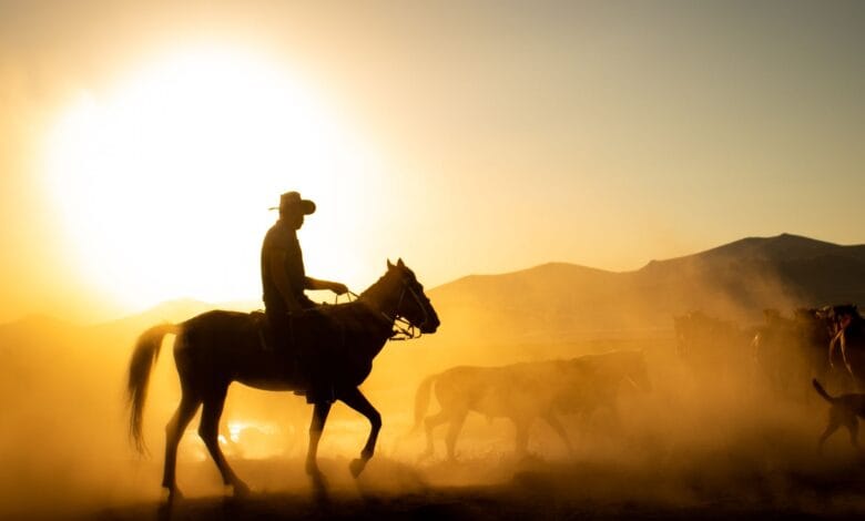 RDR2 Türkçe Yama: Oyunda Türkçe Var mı, Yama Nasıl Kurulur?