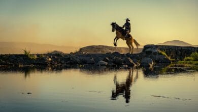 RDR2 Hileleri: Tüm Hile Kodları, Para ve At Hilesi (2026)